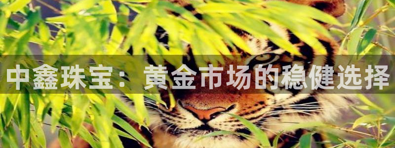 新宝5上70 667：中鑫珠宝：黄金市场的稳健选择
