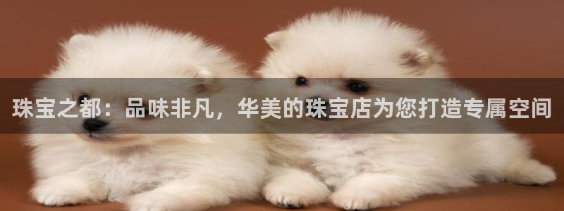 新宝5电脑：珠宝之都：品味非凡，华美的珠宝店为您打造专属空间