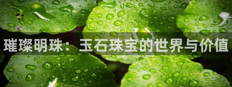 新宝5寂创33300散：璀璨明珠：玉石珠宝的世界与价值