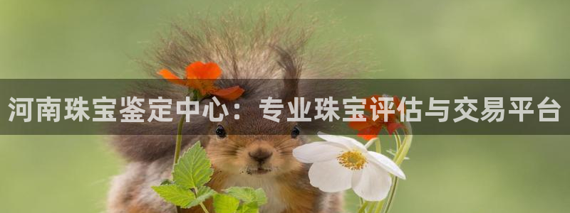 新宝5官网：河南珠宝鉴定中心：专业珠宝评估与交易平台