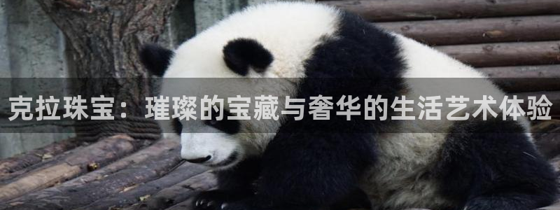 新宝_5：克拉珠宝：璀璨的宝藏与奢华的生活艺术体验