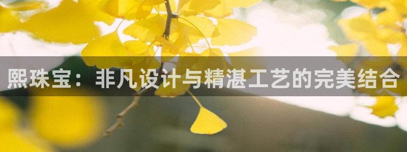 新宝5什么时候上市：熙珠宝：非凡设计与精湛工艺的完美结合