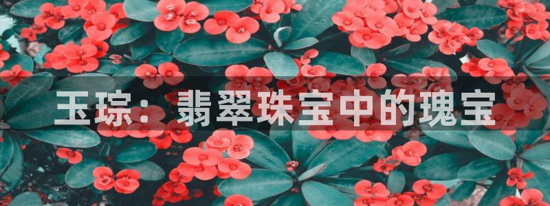 新宝5app：玉琮：翡翠珠宝中的瑰宝