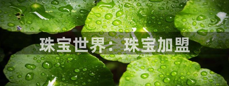 新宝5是谁：珠宝世界：珠宝加盟