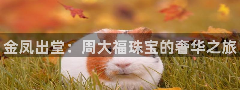 新宝m2O5O5O：金凤出堂：周大福珠宝的奢华之旅