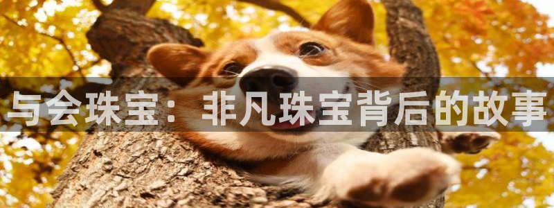 新宝5网：与会珠宝：非凡珠宝背后的故事