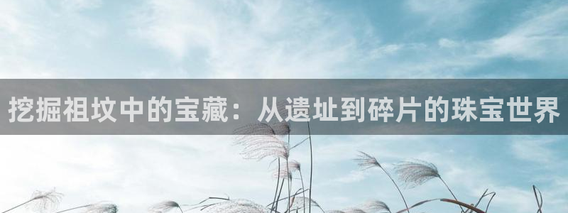 新宝5网站：挖掘祖坟中的宝藏：从遗址到碎片的珠宝世界