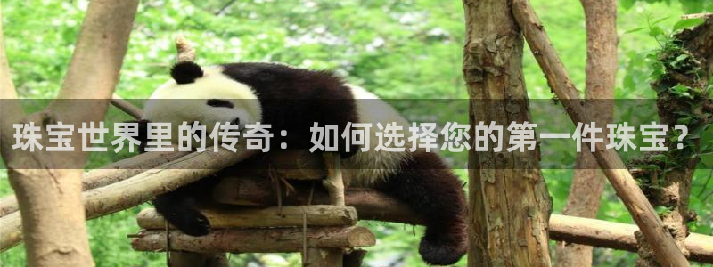 新宝5娱乐然：珠宝世界里的传奇：如何选择您的第一件珠宝？