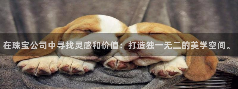 新宝5平台注册资金：在珠宝公司中寻找灵感和价值：打造独一无二的美学空间。