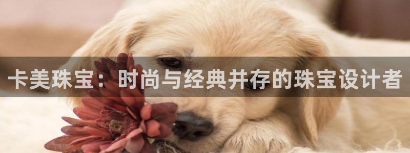 新宝5郑74OOO5：卡美珠宝：时尚与经典并存的珠宝设计者