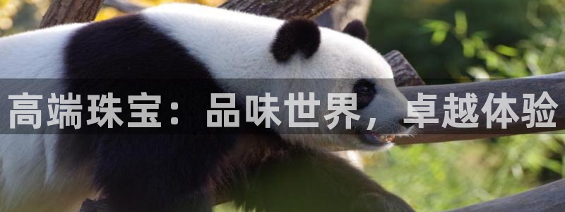 新宝5户端：高端珠宝：品味世界，卓越体验