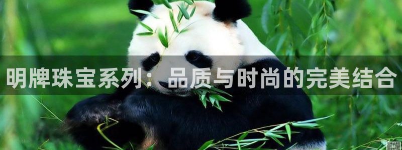 新宝5测速登陆：明牌珠宝系列：品质与时尚的完美结合