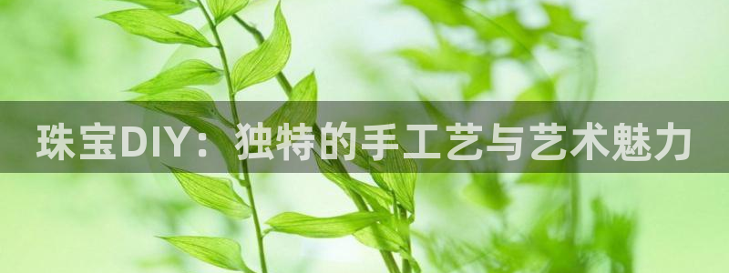 新宝5骗术：珠宝DIY：独特的手工艺与艺术魅力