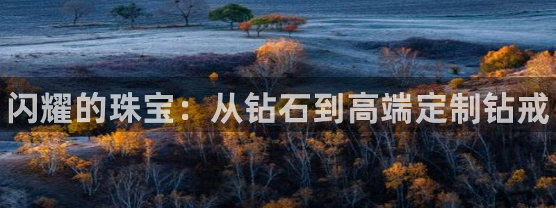 新宝5平棋牌：闪耀的珠宝：从钻石到高端定制钻戒