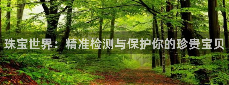 新宝5登陆：珠宝世界：精准检测与保护你的珍贵宝贝