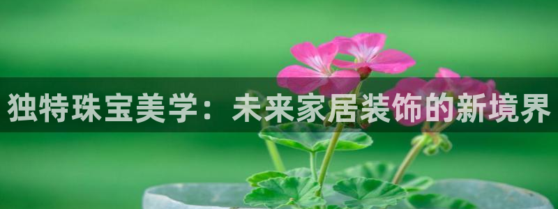 新宝5得74OOO5：独特珠宝美学：未来家居装饰的新境界