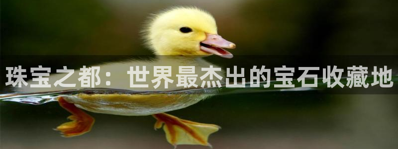 新宝5平台：珠宝之都：世界最杰出的宝石收藏地