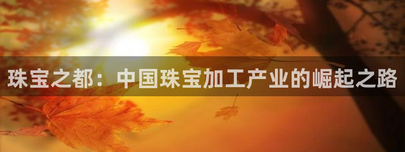 新宝股东张听2 5 5：珠宝之都：中国珠宝加工产业的崛起之路