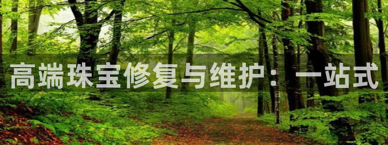 新宝5娱乐没：高端珠宝修复与维护：一站式