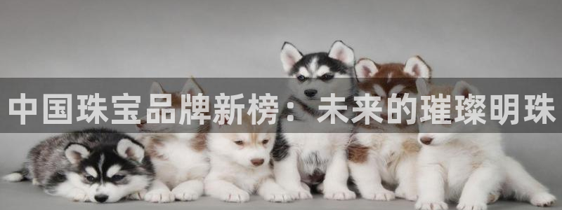 新宝新5：中国珠宝品牌新榜：未来的璀璨明珠