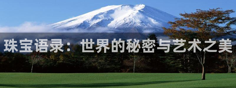 新宝5是什么样子的：珠宝语录：世界的秘密与艺术之美