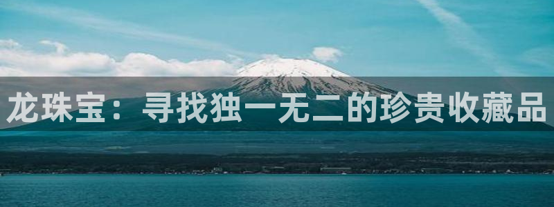 新宝 5测速：龙珠宝：寻找独一无二的珍贵收藏品