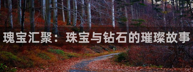 新宝5_测：瑰宝汇聚：珠宝与钻石的璀璨故事