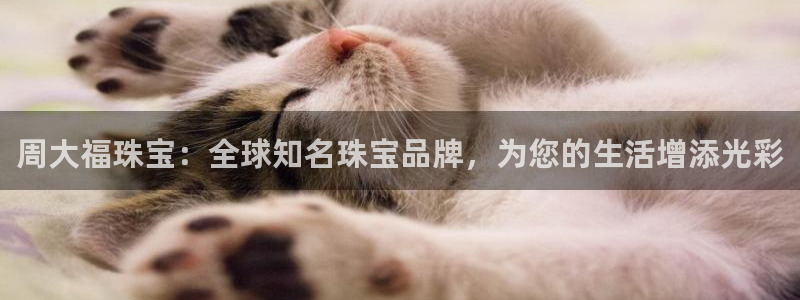 新宝5-：周大福珠宝：全球知名珠宝品牌，为您的生活增添光彩