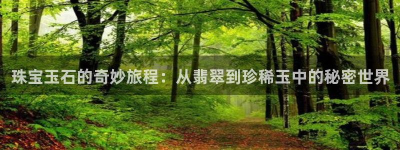 新宝速5：珠宝玉石的奇妙旅程：从翡翠到珍稀玉中的秘密世界