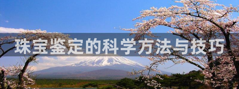 新宝5 唯一：珠宝鉴定的科学方法与技巧