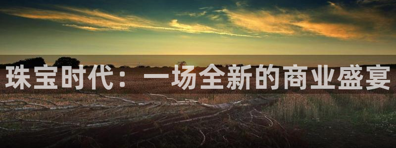 新宝5飞355051：珠宝时代：一场全新的商业盛宴