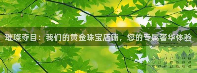 新宝5测速下载：璀璨夺目：我们的黄金珠宝店铺，您的专属奢华体验
