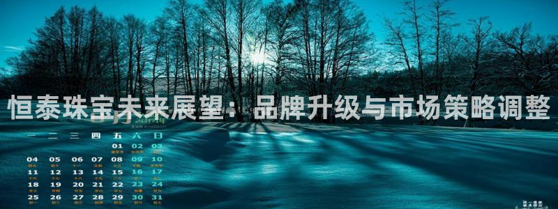 新宝那2O5O5O：恒泰珠宝未来展望：品牌升级与市场策略调整