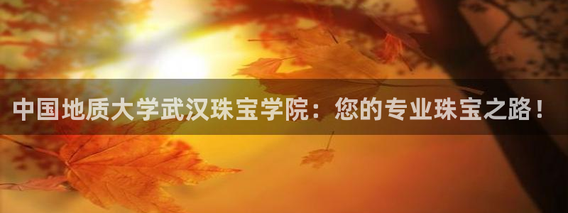 新宝5黑：中国地质大学武汉珠宝学院：您的专业珠宝之路！