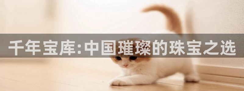 新宝5彩票平台登陆：千年宝库:中国璀璨的珠宝之选