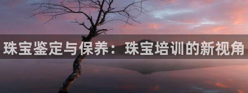 新宝5寻33 300球：珠宝鉴定与保养：珠宝培训的新视角