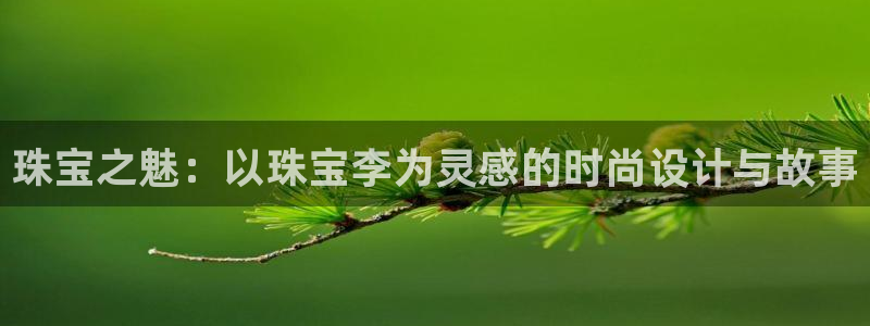 新宝rc_5w：珠宝之魅：以珠宝李为灵感的时尚设计与故事