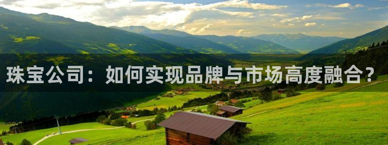 新宝5d：珠宝公司：如何实现品牌与市场高度融合？