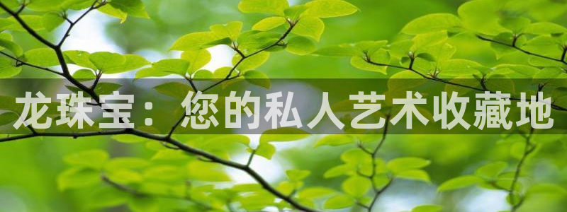 2022新宝骏rs 5：龙珠宝：您的私人艺术收藏地