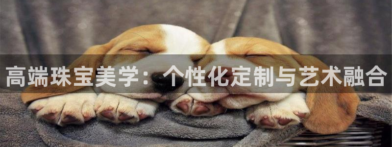 新宝5公司：高端珠宝美学：个性化定制与艺术融合