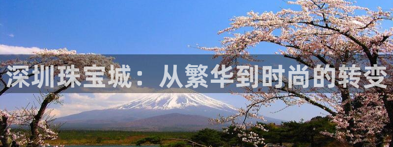 新宝5手机登录：深圳珠宝城：从繁华到时尚的转变