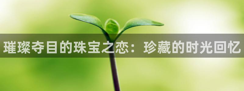 新宝5平台注册公司：璀璨夺目的珠宝之恋：珍藏的时光回忆