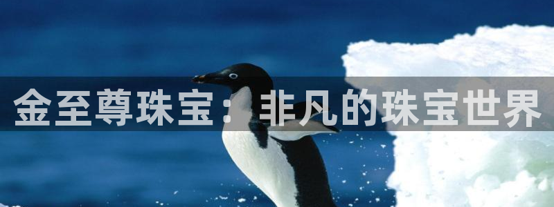 新宝5球维33 300：金至尊珠宝：非凡的珠宝世界