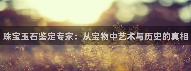 新宝速5：珠宝玉石鉴定专家：从宝物中艺术与历史的真相