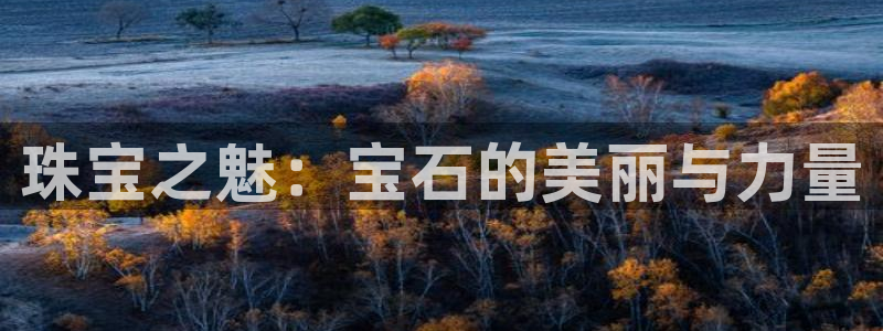 新宝5 注册：珠宝之魅：宝石的美丽与力量