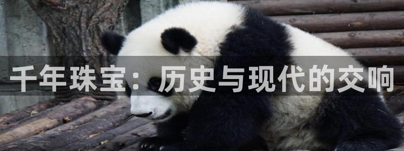 新宝5日740005蔻：千年珠宝：历史与现代的交响