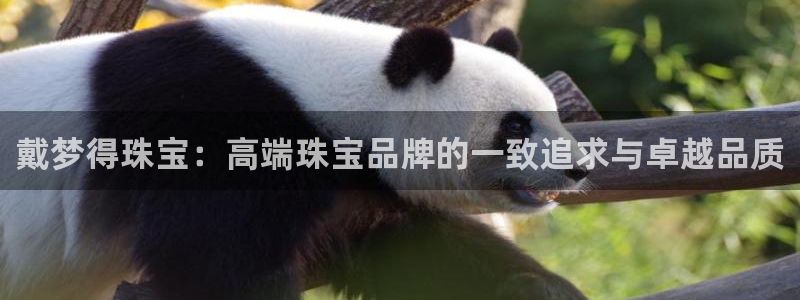 新宝5策略：戴梦得珠宝：高端珠宝品牌的一致追求与卓越品质