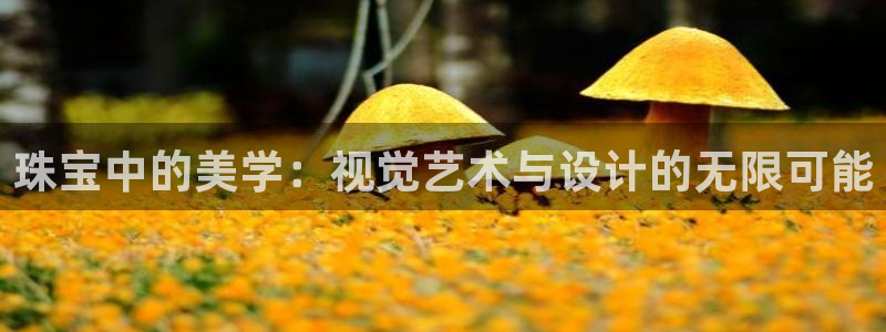 新宝5注册登录：珠宝中的美学：视觉艺术与设计的无限可能