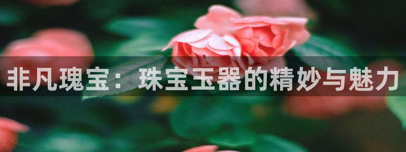 新宝5平台注册：非凡瑰宝：珠宝玉器的精妙与魅力