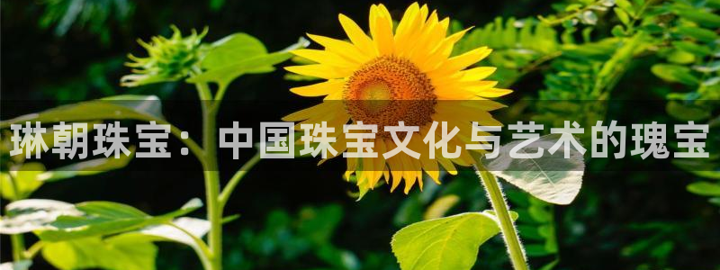 新宝5现在还能玩吗：琳朝珠宝：中国珠宝文化与艺术的瑰宝